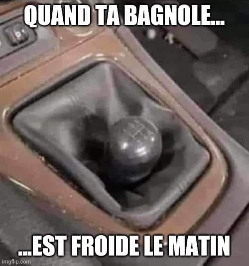 Blague   carricature   quand ta bagnole est froide le matin