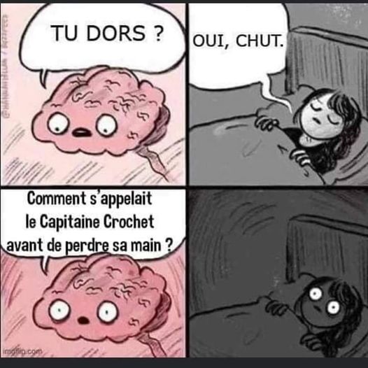 Blague   cerveau qui dit tu dorts le corps répond oui chut