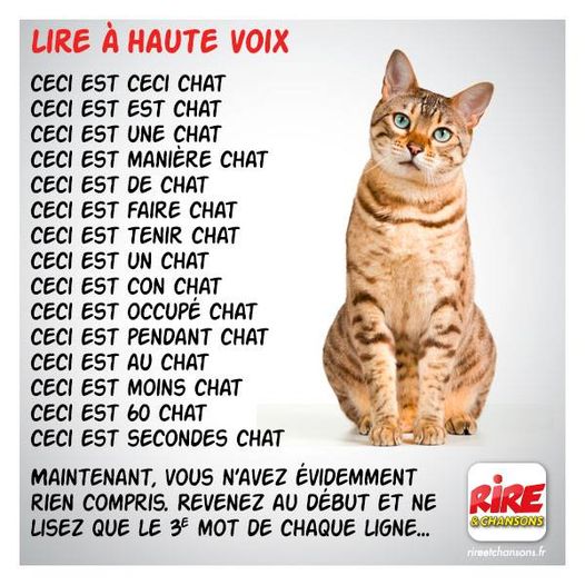 Blague   chat   lire aà haute voix