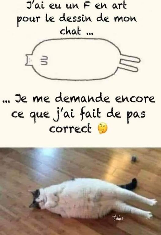 Blague   chat déssiné