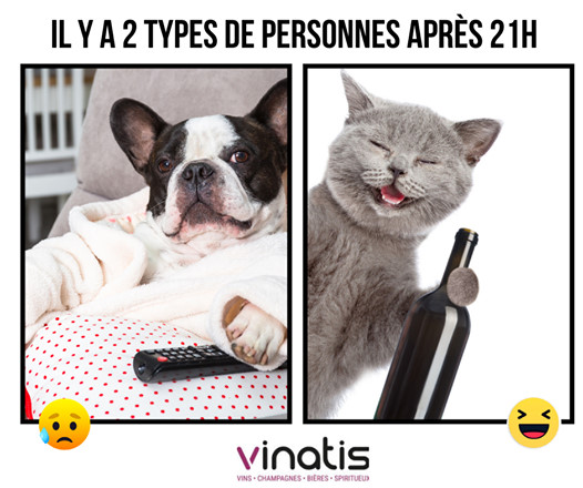 Blague   chat il ya 2 type de mpersonne apres 21h