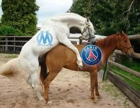 Blague   cheval de l om qui encule cheval du PSG