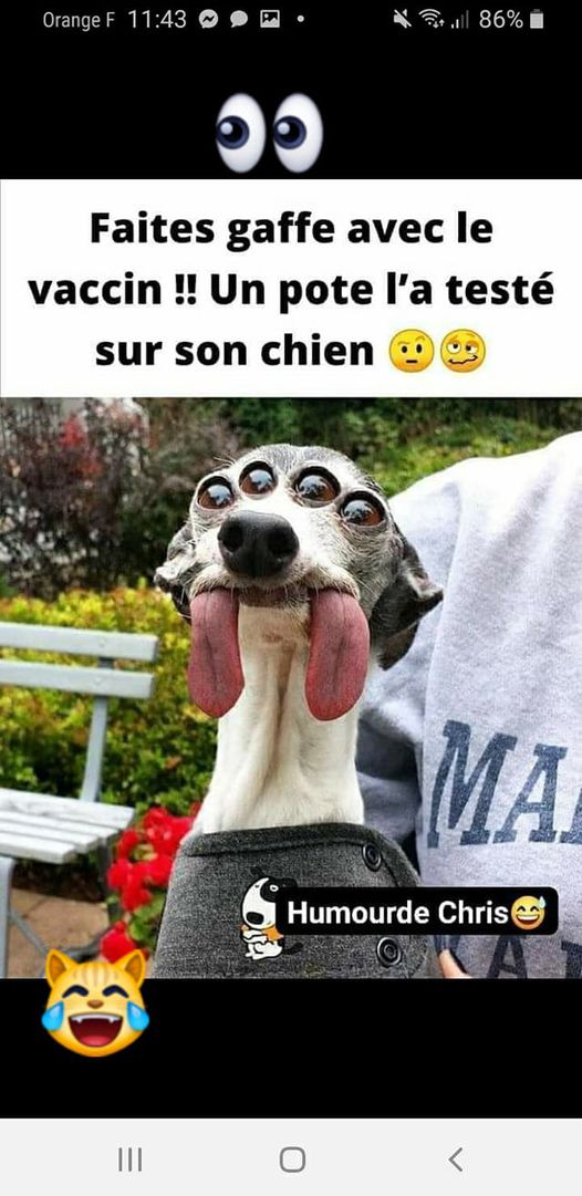 Blague   chien qui a testé le vaccin