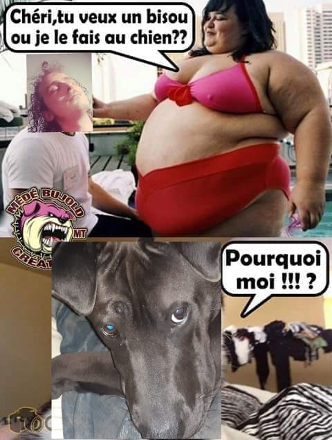 Blague   chéri tu veux un bisou ou je le fais au chien