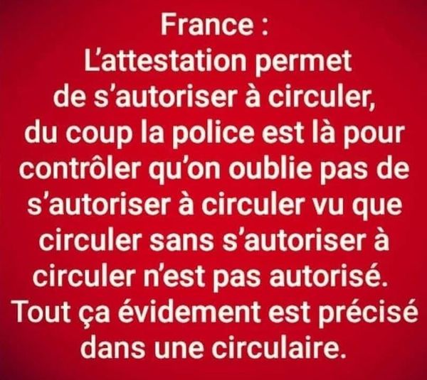 Blague   citation   france   l'attestation permet de s'autoriser à circuler du coup la police est là pour controler qu'on oublie pas de s'autoriser à circuler sans s'autoriser à circuler n'est pas autoriser