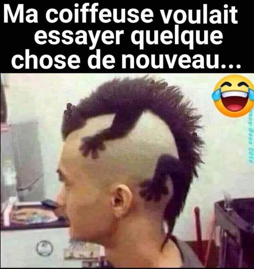 Blague   coiffure