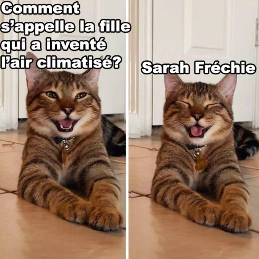 Blague   coment sappelle lafille qui a inventé l'air climatisé   réponse   sarah fréchie