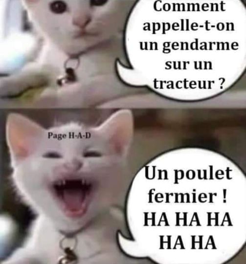 Blague   comment appelle t on un gendare sur un tracteur   réponc e  un poulet fermier