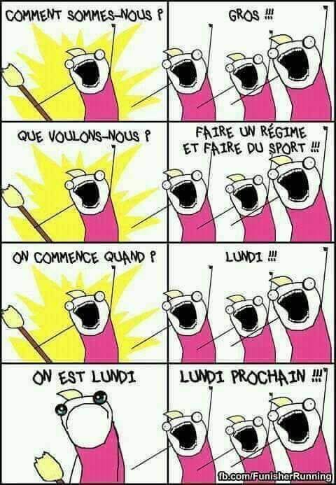 Blague   comment sommes nous   gros   que voulons nous   faire un régimeet faire du sport   on commence quand  lundi   on est lundi    lundi prochain