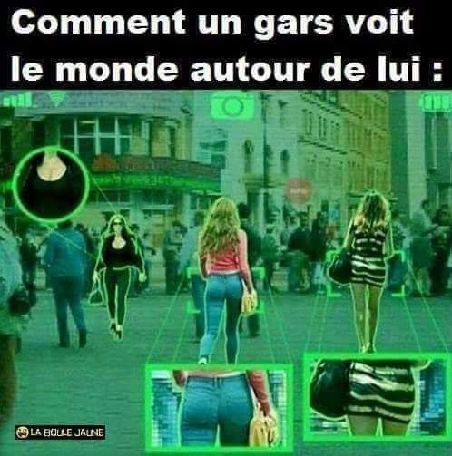 Blague   comment un gars voit le monde autour de lui