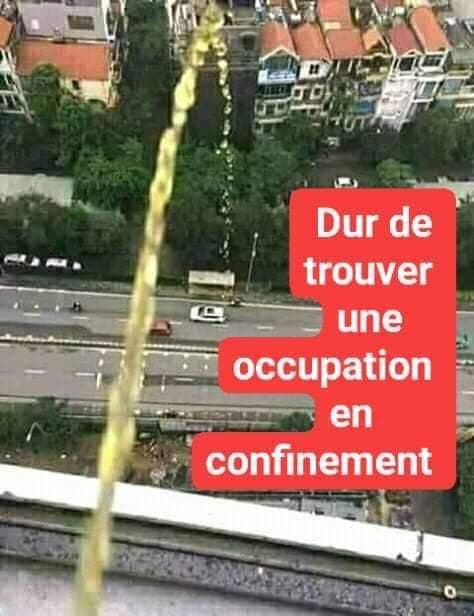 Blague   confinement   dur de trouver une occupation en confinement   mec qui pisse du haut de l'immeuble en bas