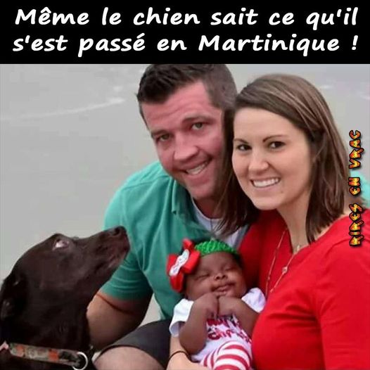 Blague   couple blanc avec chien et bébé noir   même le chien sait ce qu'il s'est passé en martinique