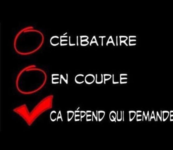 Blague   célibataire ou en couple   ça dépend qui demande