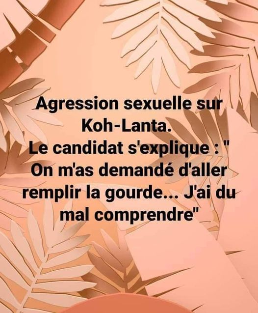 blague   Citation   agression sexuelle sur koh lanta, le candidat s'explique, on m'as demandé d'aller remplir la gourde,j'ai du mal comprendre