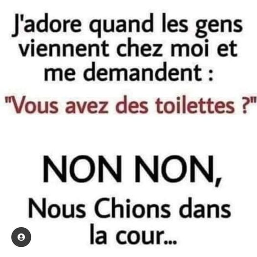 blague   Citation   j'adorent quand les gens viennent chez moi et me demandent, vous avez des toilettes et l'autre répond non non nous chions dans la cour