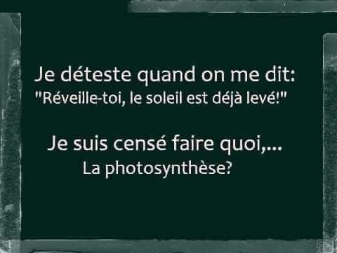 blague   Citation   je déteste quand on me dit réveille toi,le soleil est déjà levé,je suis censé faire quoi la photosynthèse