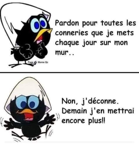 blague   Citation   pardon pour toutes les conneries que je mets chaque jour sur mon mur, non, je déconne, Demain j'en mettrai encore plus