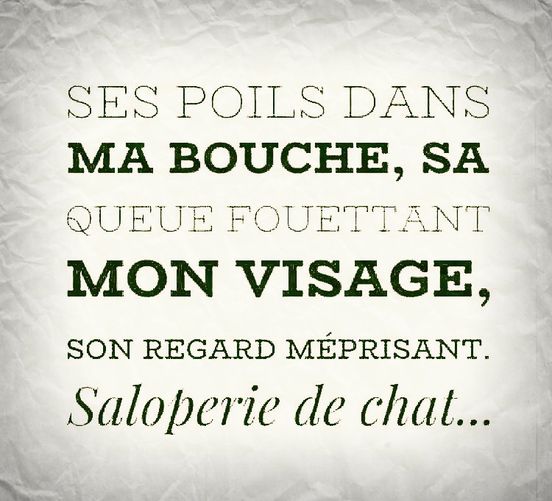 blague   Citation   ses poils dans ma bouche, sa queue fouettant mon visage,son regard méprisant,saloperie de chat