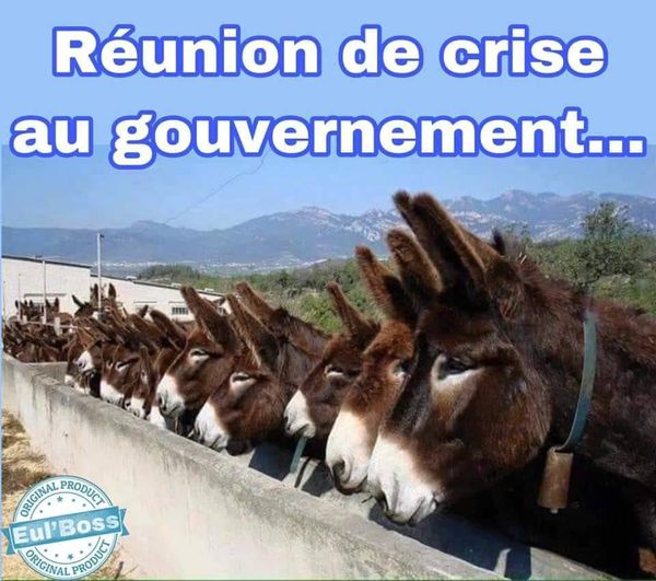 blague   caricature   emule=ane   réunion de crise au gouvernement