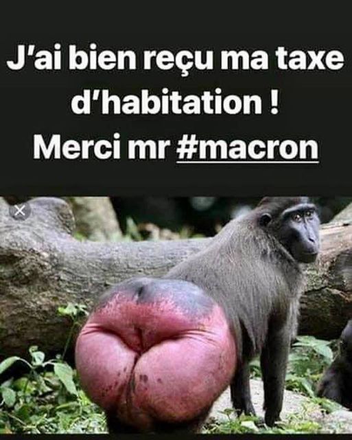 blague   caricature   j'ai bien reçu ma taxe d'habitation   macron enculé