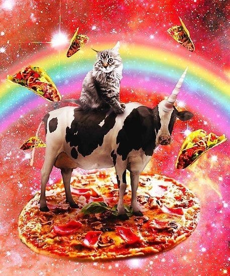 Blague   dessin   chat avec vache licorne avec arc en ciel sur une pizza