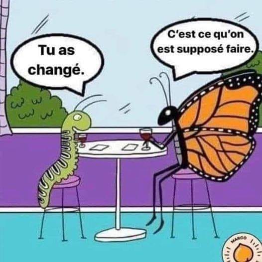 Blague   dessin   la chenille dit aux papillon   tu as changé   le papillon dit à la chenille c'est ce qu'on est supposé faire