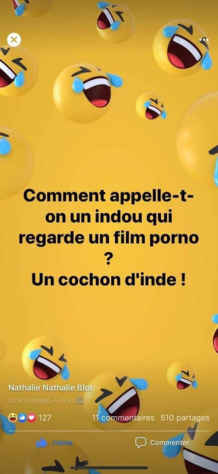Blague   devinette   comment on apelle un indou qui regarde un film porno   réponse un cochon d'inde