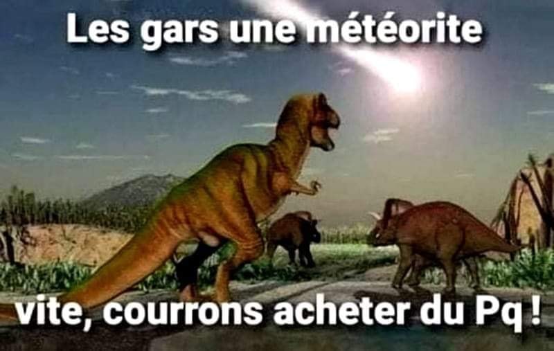 Blague   dinausore qui dit les gars une météorite vite courrons acheter du pq