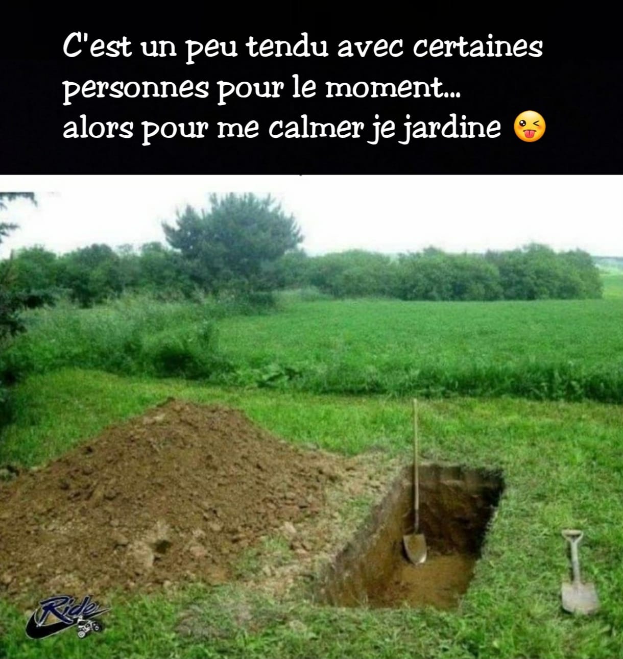 Blague   durant le confinement je jardine un peu