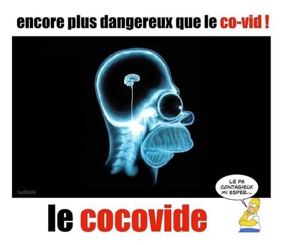 Blague   encore plus dangereux que le covid   le cocovide