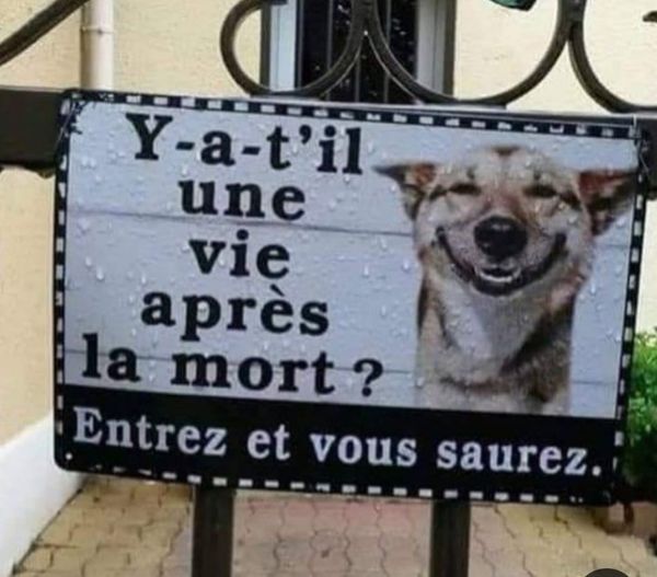 Blague   entré   y a t il une vie après la mort   entrez et vous saurez