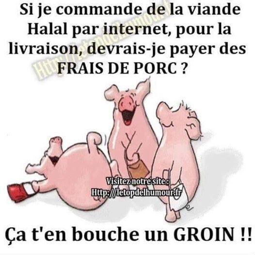 Blague   eux de mot   si je commande de la viande halal par internet pour la livrason devrais je payer des frais de porc