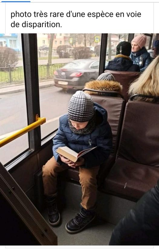 blague   enfant qui lit un livre   photo très rare d'une espèce en voie de disparition