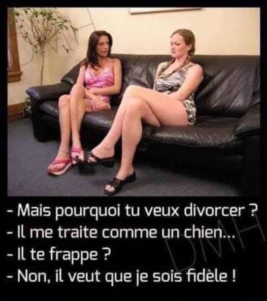 Blague   Femme qui dit à sa copine mais pourquoi tu veux divorcer le femme répond il me traite comme un chien