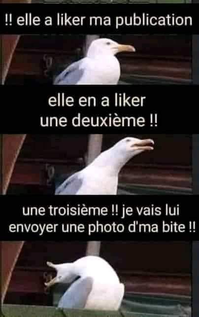 Blague   facebook   elle a liker mapublication elle en a liker une deuxième   une troisième je vais lui envoyer une photo de ma bite