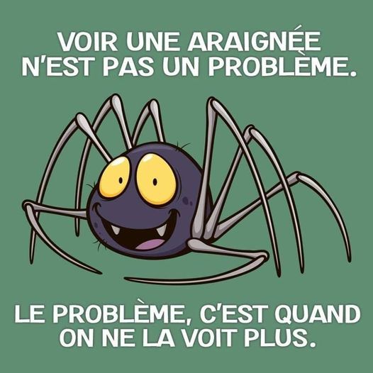 Blague   faune   voir une araignée n'est pas un probème   le problème c'est quand on la voit plus