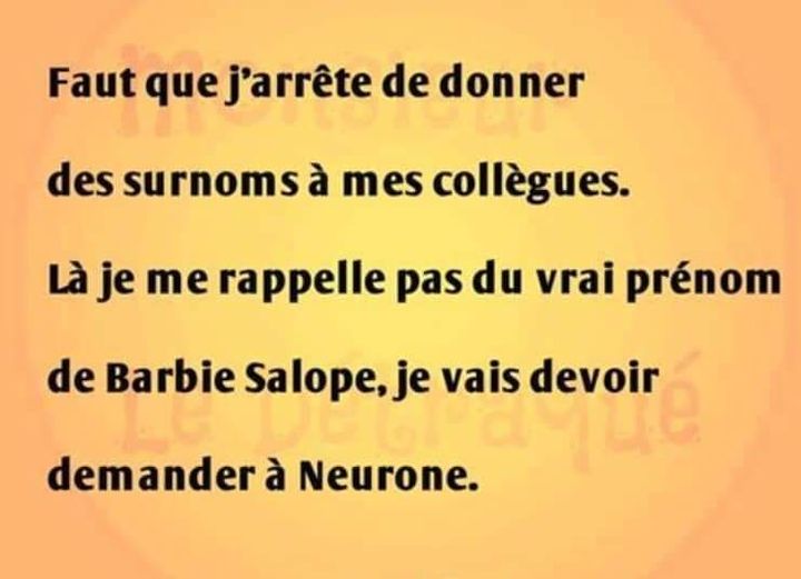 Blague   faut que j'arrête de donner des surnoms à mes collègues la je me rappelle pas du vrai prénom de barbie salope je vais devoir demander à neurone