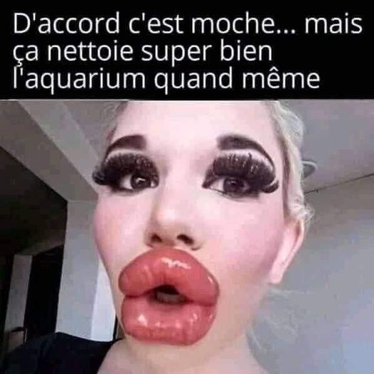 Blague   femme   avec grosse lèvre   d'accord c'est moche mais ça nettoie super bien l'aquarium quand même