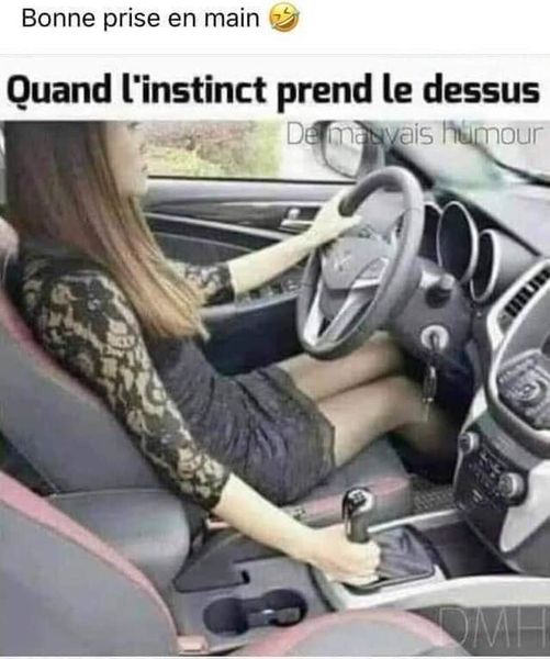 Blague   femme en voiture   bonne prise de main du levier de vitesse   quand l'instinct prend le dessus