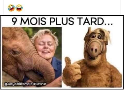 Blague   femme et animal puis 9 mois saprès en Alf