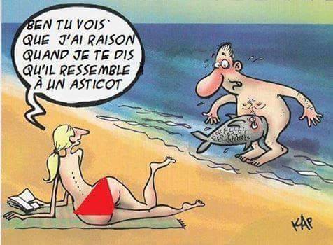 Blague   femme qui dit je t'avais qu'il ressmblais à un astico   poisson qui a mordu la bite à la plage