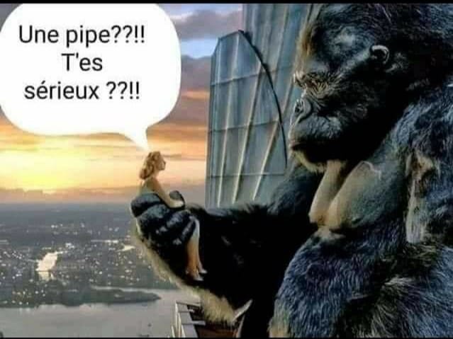 Blague   femme qui dit à king Kong   un epipe t'es sérieux