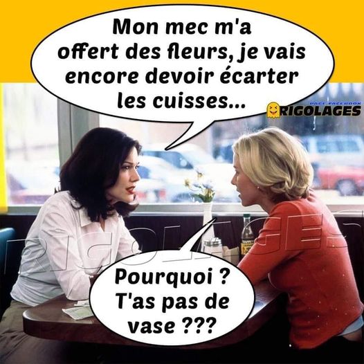 Blague   femme qui dit à sa copine   mon mec m'a offert des fleurs, je vais devoir écarter les cuisses   pourquoi tu n'a pas de vase