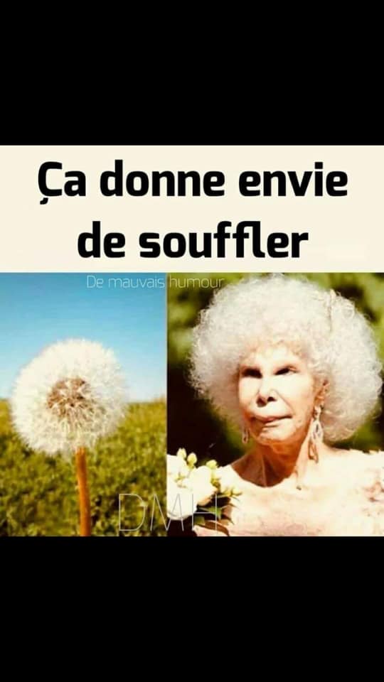 Blague   fleur ou tu souffle ça s'envole