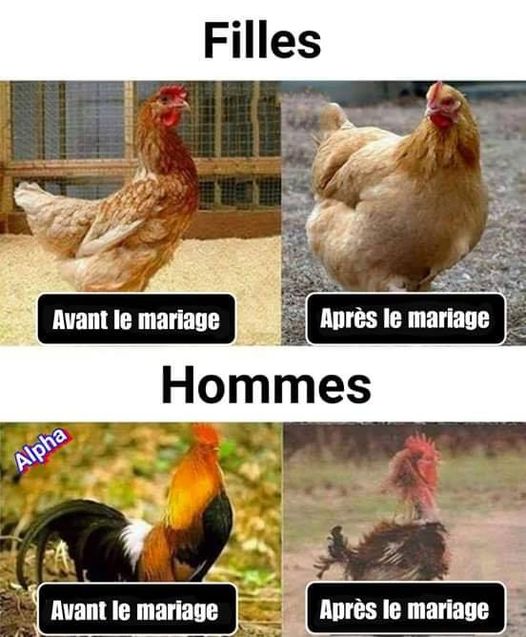 blague   filles avant le mariage et après et hommes avant le mariage et après le  mariage