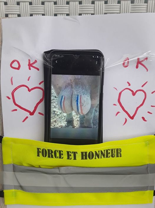 Blague   Gilets Jaune   force et honneur