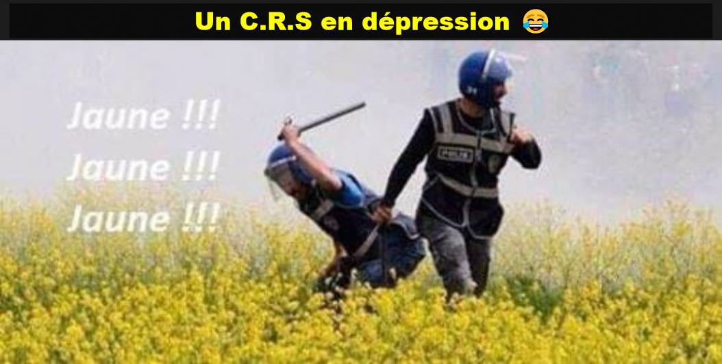 Blague   Gilets Jaune   un crs en dépréssion