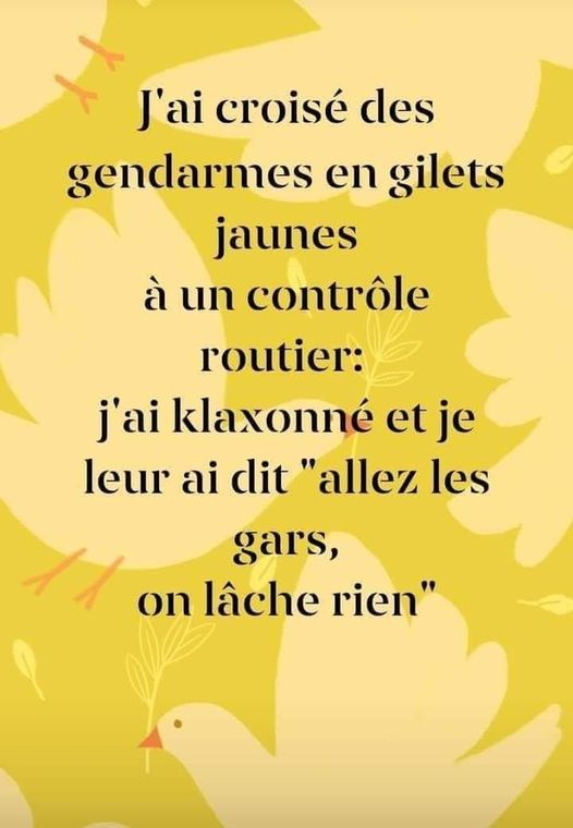 Blague   gilet jaune   j'ai croisé des gendarmes en gilets jaunes à un controle routier j'ai klaxonner et je leur ai dit allez les gars on lache rien