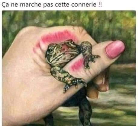 Blague   grenouille dans une main avec un gros bisoux   normalement qui devrait se transformé en prince   ça ne marche pas cette connerie