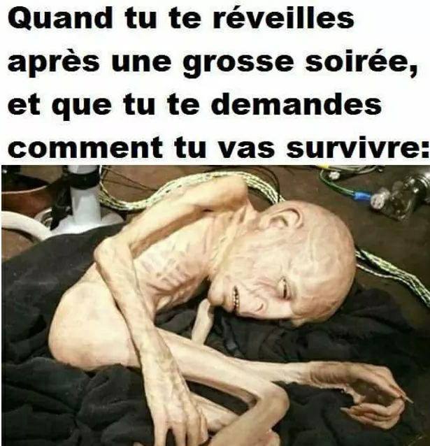 Blague   humour   caricature   extra terrestre quand tu fais la fete et que le lendemain tu te réveille et que tu luttes pour survivre